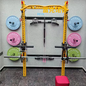 Spor salonu Fitness muti-fonksiyonel katlanır duvara montaj güç rack'i basın raf Squat çerçevesi düz tezgah ve ağırlık plakaları ile - Product Image 1