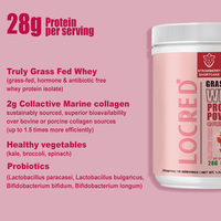 Poudre de Protéine de Lactosérum de Fraises Naturelles Nourries à l'Herbe, 350g, Directement de l'Usine OEM, pour Adultes, Améliore l'Immunité