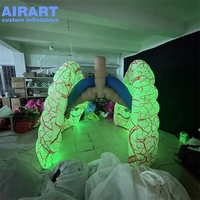 Poumon humain gonflable lumineux de grande taille, poumon gonflable personnalisé pour les campagnes de sensibilisation à la santé et les expositions muséales