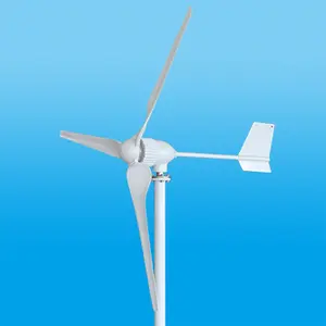 ESG-turbina aerogeneradora para el hogar, sistema de turbina aerogeneradora de alta potencia, nueva potencia, 1kw, 3kw, 5kw, 10KW, 20kw, 50kw, 100KW