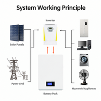 Batterie LiFePO4 51,2 V 102 Ah 5,12 kWh, système de stockage d'énergie solaire mural pour la maison, alimentation de secours solaire