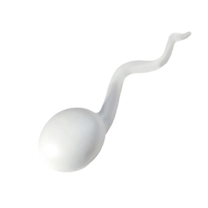 Sıcak satış özel anti-stres PU köpük Sperm stres giderici için sıkma topu oyuncak sıcak satış promosyon oyuncakları - Product Image 1