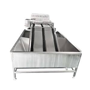 Laveuse de Œufs Automatique pour Cailles et Canards, Laveuse Industrielle à Ligne Simple pour la Production et le Nettoyage des Œufs, Machine de Classement - Product Image 2