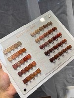 Haute qualité 25 couleurs marron LED UV Gel vernis à ongles ensemble longue durée 12ml Soak-Off Design Logo résine matériel pour Nail Art