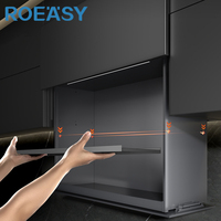 ROEASY Système de mécanisme de levage d'armoires de cuisine modulaires Organisateur de stockage Armoire de levage intelligente verticale
