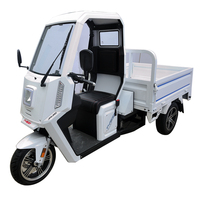 Mini fourgon utilitaire / Petit fourgon de livraison ou de transport / Véhicule utilitaire commercial