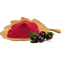 Groothandelsprijs OEM/ODM Acai-bessenpoeder Brazilië Acai-bessenpoeder Private Label Acai-bessenpoeder