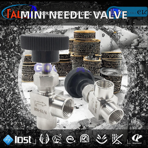 Pompe à eau manuelle basse pression 1000W avec mini-vanne à aiguille et raccord fileté NPT ou BSP mâle ou femelle - Product Image 3