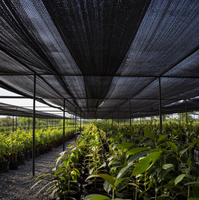 Rouleau de filet pare-soleil noir pour pépinière, tunnel, verger, arbres fruitiers, ferme, légumes, protection des cultures extérieures et des plantes