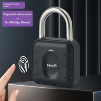 Cadenas intelligent sans fil Tuya étanche personnalisé en usine, à prix abordable, avec contrôle par application et lecteur d'empreintes digitales