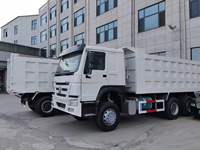Camion benne Sinotruck Howo 6x4 8x4, benne basculante 20 tonnes 30 tonnes, LHD RHD, 371 ch 375 ch, camion benne Howo d'occasion 10 12 roues