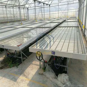 4x8ft topraksız tarım Microgreens bitki yetiştirme rafları tepsileri