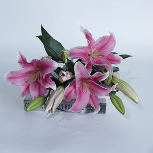 Fleurs fraîches récemment cueillies, Lys <span class=keywords><strong>Sorbonne</strong></span>, 3 têtes, haute qualité, décoration intérieure, ajoute de la couleur à la maison - Product Image 4