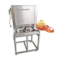 Eplucheuse de fruits multifonctionnelle 300 Kg/H Eplucheuse automatique orange citron
