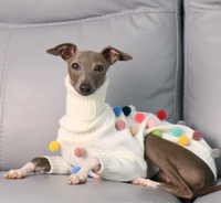 Nouveau pull de Noël festif à col montant en tricot pour chien, idéal pour les lévriers italiens et les whippets – Vêtement d'hiver pour animaux de compagnie
