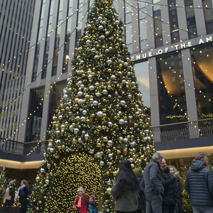 <strong>Large</strong> <strong>Christmas</strong> <strong>tree</strong> with channel, LED lighting, outdoor accessible arch suitable for mall and park decoration - Product Image 6