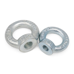 Đức tiêu chuẩn din582 mắt <span class=keywords><strong>Nut</strong></span> mạ kẽm khuôn Lug <span class=keywords><strong>Nut</strong></span> trong kích cỡ M8M10M12M16M20-M36 cho các ứng dụng hạt khác nhau - Product Image 3