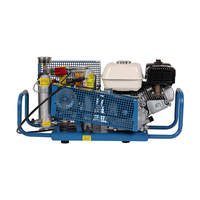 Compresseur sans huile TAHU à double efficacité, pompe à air de plongée 100L/min 300Bar, système d'air respiratoire portable refroidi par air pour la plongée sous-marine