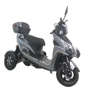 Electric Motorcycle 3 Wheels Adult Use Electric Tricycles 3 Wheel Electric