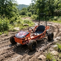 Buggy tout-terrain monoplace à essence, transmission par chaîne, 212cc, 4 temps, pneus antidérapants larges, pour adultes, parc d'attractions en plein air