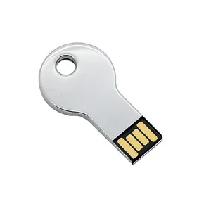 Low Cost Items Short Key Shape Usb Pen Drive 2GB Disk Logo