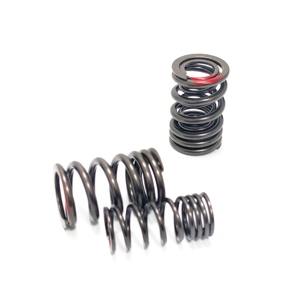 Custom High-performance <strong>Valve</strong> <strong>Spring</strong> Car Motorcycle Accessories Racing Engine Precision Dual <strong>Spring</strong> - Product Image 2