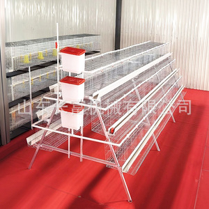ตาข่ายลวดกรงไก่แบบ A สำหรับฟาร์มอัตโนมัติ - Product Image 2