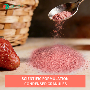 สารสกัดสตรอว์เบอร์รีจาก USDA ของเฮิร์สสปิริต น้ำสตรอว์เบอร์รี เม็ดสตรอว์เบอร์รี ความเข้มข้นสูง เม็ดสตรอว์เบอร์รี - Product Image 4