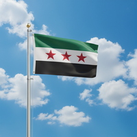 Bannière personnalisée de taille 3x5 pieds, verte, blanche et noire, en polyester 68D, 90 x 150 cm, drapeau syrien, drapeau vert de la Syrie