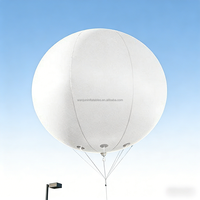 Ballon gonflable géant personnalisé pour l'extérieur, ballon gonflable à l'hélium pour chien, pour défilé