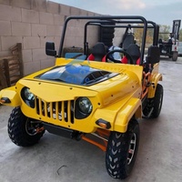 Buggy tout-terrain 4x4 essence 350cc, mini-jeep 4 roues pour adultes, idéal pour les aventures en buggy des dunes, 5 places, type kart.