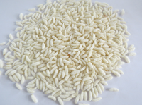 Machine de fabrication de riz enrichi Ligne de production de riz nutritionnel Machine de fabrication de collations de riz soufflé