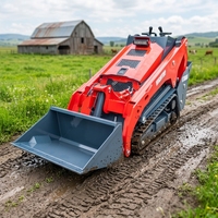 Mini-chargeuse compacte sur pneus avec accessoires hydrauliques pour l'agriculture et l'aménagement paysager