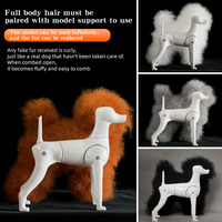 Modelo de esqueleto completo de perro Poodle estándar de poliéster para práctica de estética canina, simulación de pelaje, para estudiante de peluquería canina, gris, sencillo