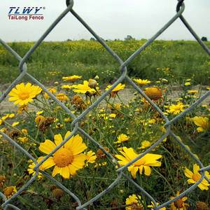 Hot bán Chuỗi liên kết hàng rào sản phẩm 6x12 Chuỗi liên kết hàng rào tấm Bán buôn giá rẻ Chuỗi liên kết hàng rào mỗi mét vuông giá - Product Image 2