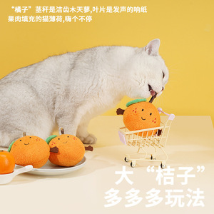 Jouet pour chat Woodlice, balle à mâcher durable, outil d'auto-entretenissement et anti-ennui pour chat, bâton de chatonnettement aux fruits, fruits pour - Product Image 4