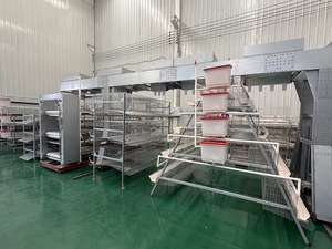 Sistema Moderno de Jaulas Automáticas para la Producción de Huevos de Aves de Corral, Jaula para Pollos - Product Image 2