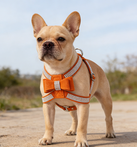 Leather <strong>Dog</strong> <strong>Harness</strong> with Bow Embellishment and Buckle Closure Breathable Fashion Style for <strong>Small</strong> to Large <strong>Dogs</strong> (XS-XL Sizes) - Product Image 5