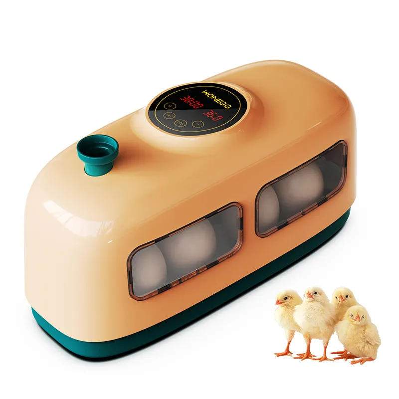 HHD 8 adet küçük şeffaf yumurta kuluçka makinesi Mini tavuk dijital sıcaklık kuluçka makinesi çocuklar için YZ9-8