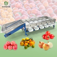 Automatische sorteermachine voor abrikozen, kokosnoten, komkommers, drakenvruchten, elektronische appel-sorteermachine, tracksorteerder voor aardappelen en uien