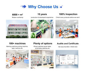 Nuevas Flores de Chenilla Ecológicas para Coser, Parches Tejidos de Dibujos Animados, Bordados para Sombreros y Accesorios de Ropa - Product Image 5