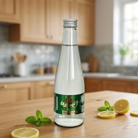 Jus de bouleau sauvage 330ml Sans additifs Pressé à froid Boisson végétale naturelle Vente en gros OEM