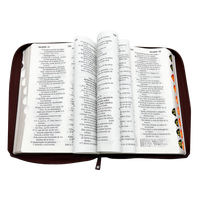 Conception d'impression personnalisée de haute qualité Livre de la Sainte Bible à couverture rigide OEM coloré et bon marché accueilli