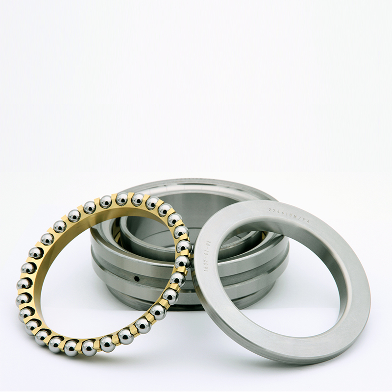 Angular Contact Ball Bearing D608 602839