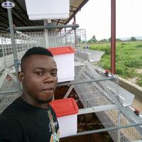 Cage à poules pondeuses à 3 niveaux pour 96 poules avec des prix compétitifs pour la conception dans une ferme avicole au Burkina Faso