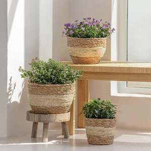 Panier à plantes Cintres Fruits d'extérieur à <span class=keywords><strong>accrocher</strong></span> <span class=keywords><strong>au</strong></span> <span class=keywords><strong>mur</strong></span> Pots d'intérieur Paniers décoratifs en métal Cintre organique - Product Image 2