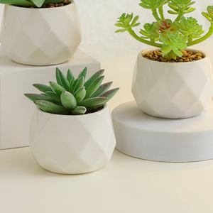 Plantas suculentas artificiales <span class=keywords><strong>de</strong></span> oficina Mini decoración verde en maceta para estación <span class=keywords><strong>de</strong></span> trabajo Decoración interior <span class=keywords><strong>de</strong></span> escritorio Plantas <span class=keywords><strong>de</strong></span> imitación <span class=keywords><strong>de</strong></span> estilo Ins. - Product Image 5