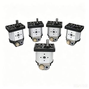 Pompe à engrenages à débit constant Xinrunda série 3, en acier inoxydable 304, à entraînement moteur rotatif, pour systèmes hydrauliques - Product Image 1