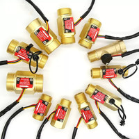 Débitmètre à turbine liquide OEM Dijiang SUS304 DN8-DN50 10-200LPM, capteur de débit à effet Hall précis avec compteur d'impulsions pour chauffage/chaudière