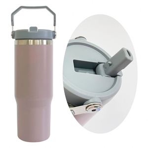 Bad Boy's Tumbler Thermos Leak Proof Male 30Oz Flip Top School Tumblers <b>Mug</b> for Sublimation Printing - Product Image 3